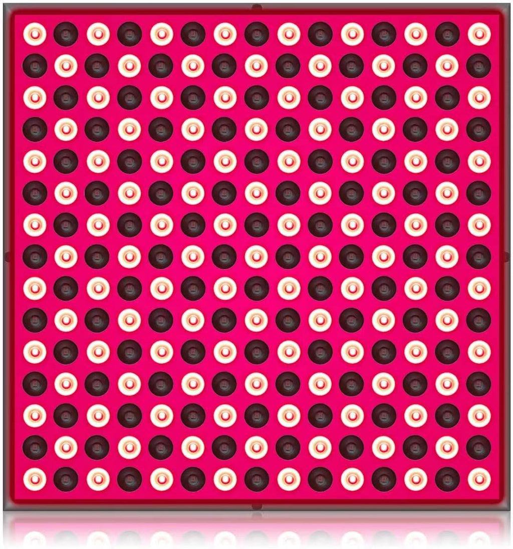 2f1724b4cc8b43f8e40cb60624bf7dc9